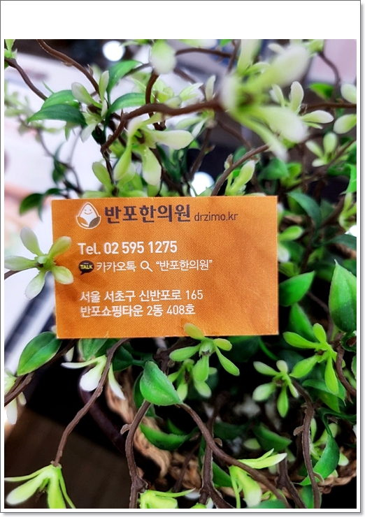 두통이 있을 때 심한 통증이 있다면 군발성 두통입니다. 4