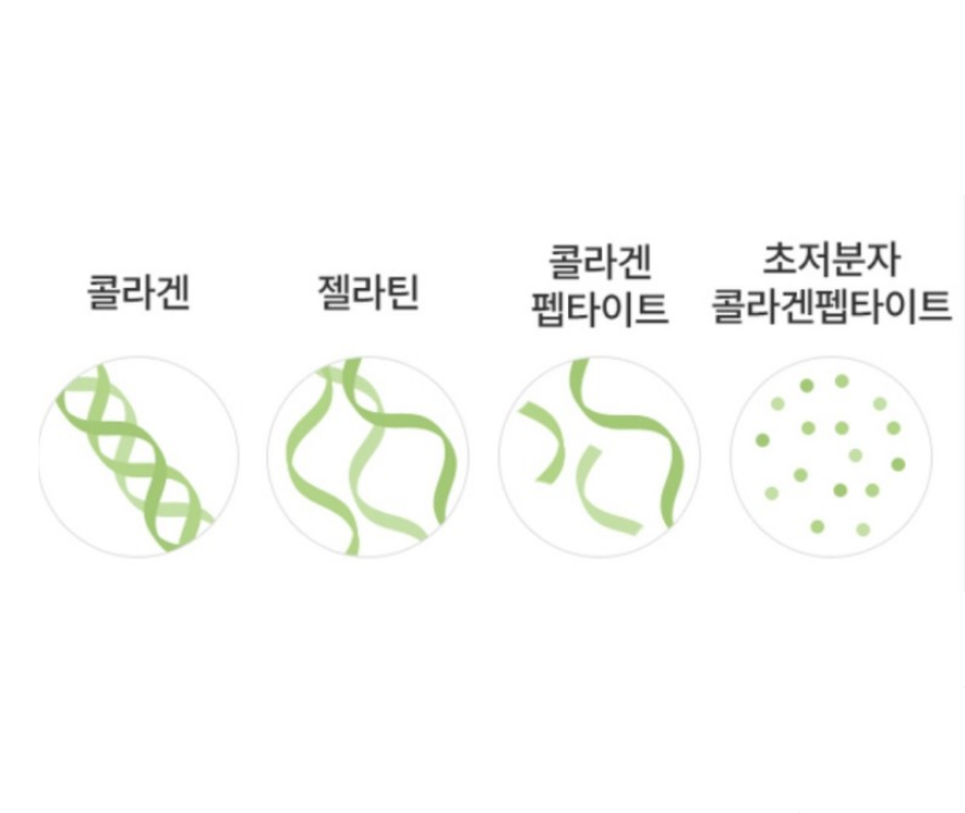 롱펩-콜라겐-펩타이드-분자-구조