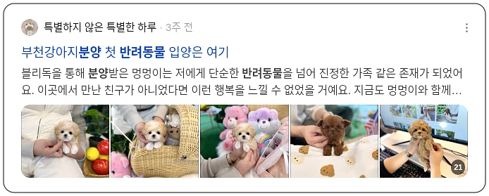 반려동물분양_2_subsection