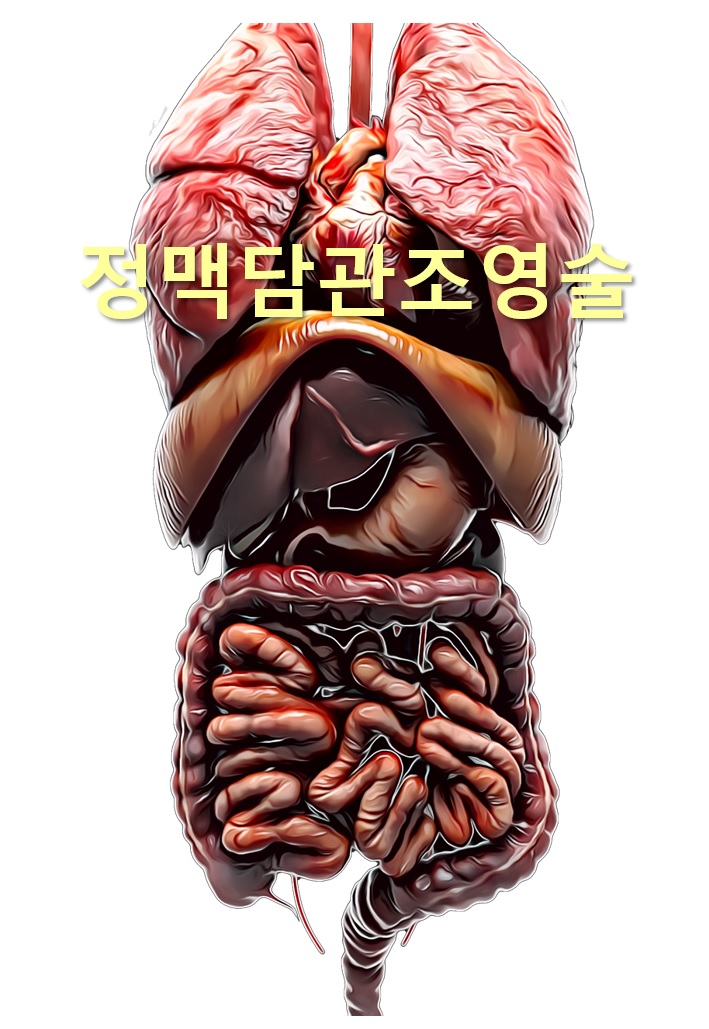  담관과 담낭(쓸개)을 검사하는 정맥담관조영술이란?