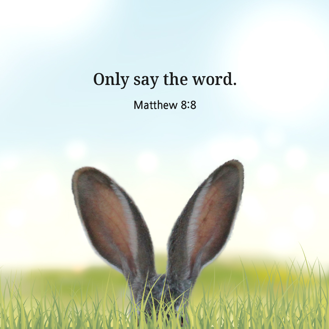 Only say the word. (Matthew 8:8)