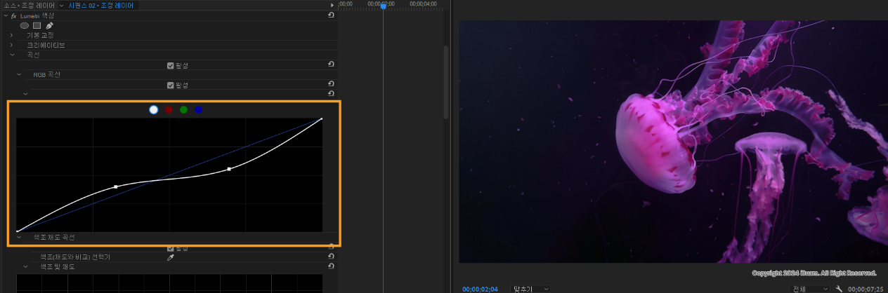 RGB 곡선 조절 2
