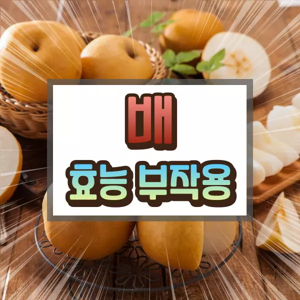 배 효능 부작용