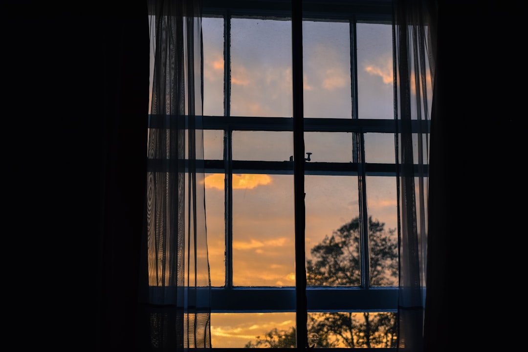Window
