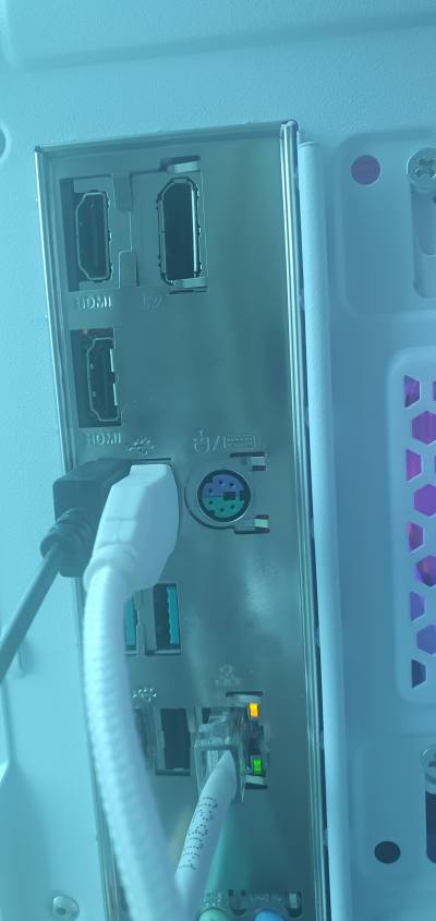 내장 그래픽 포트