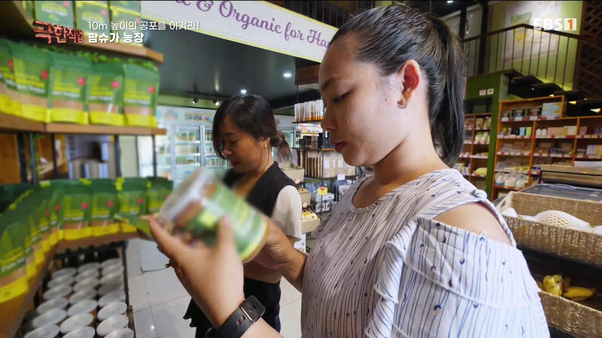 [극한 직업] 캄보디아 팜슈가 농장 230624.mp4_20230701_185220.631.jpg