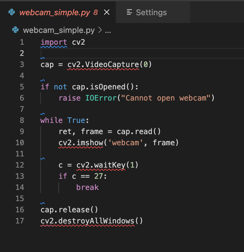 Visual Studio Code의 Pylint에서 cv2 모듈과 멤버 인식이 안되는 경우 해결방법
