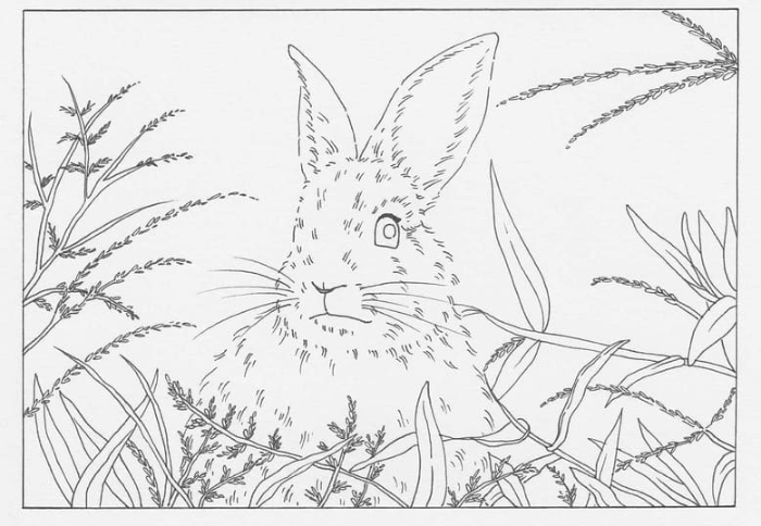 풀 숲에 토끼 한 마리가 눈을 동그랗게 빛내면서 앉아 있는 그림 도안