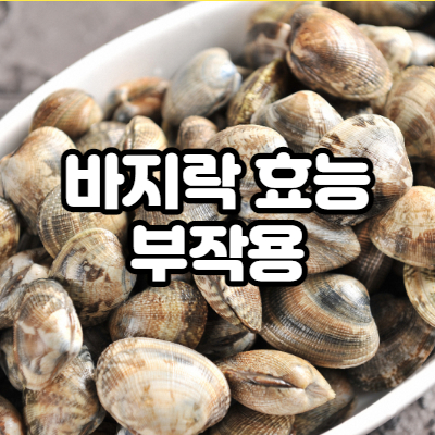  바지락 효능, 부작용 총정리