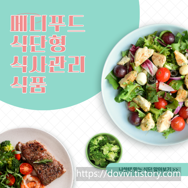  메디푸드 식단형 식사관리식품 제조기준 규격 및 정의