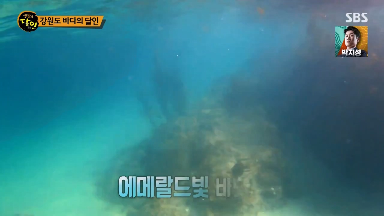 생활의 달인.E899.230732p-NEXT.mp4_20230801_213228.066.jpg