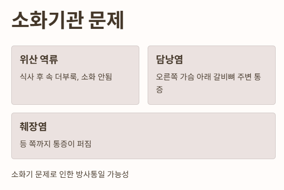 소화기관 문제