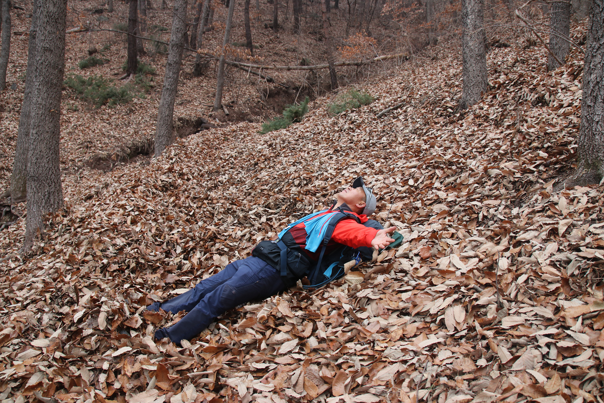 경남 의령군 국사봉 05 47