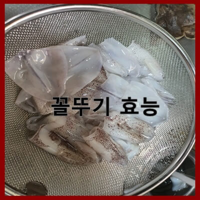  꼴뚜기 효능과 손질 방법