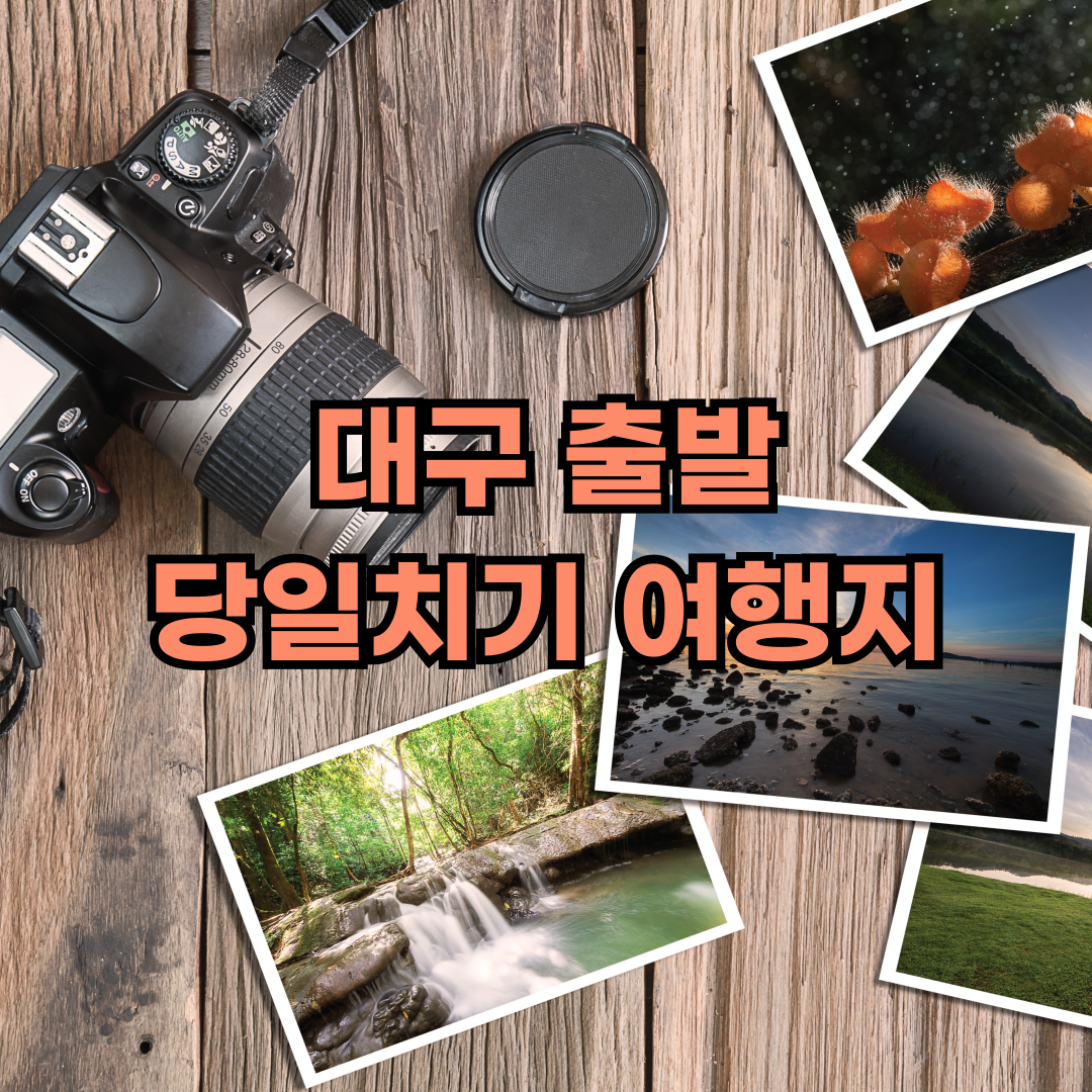 대구출발 당일치기 여행지 추천