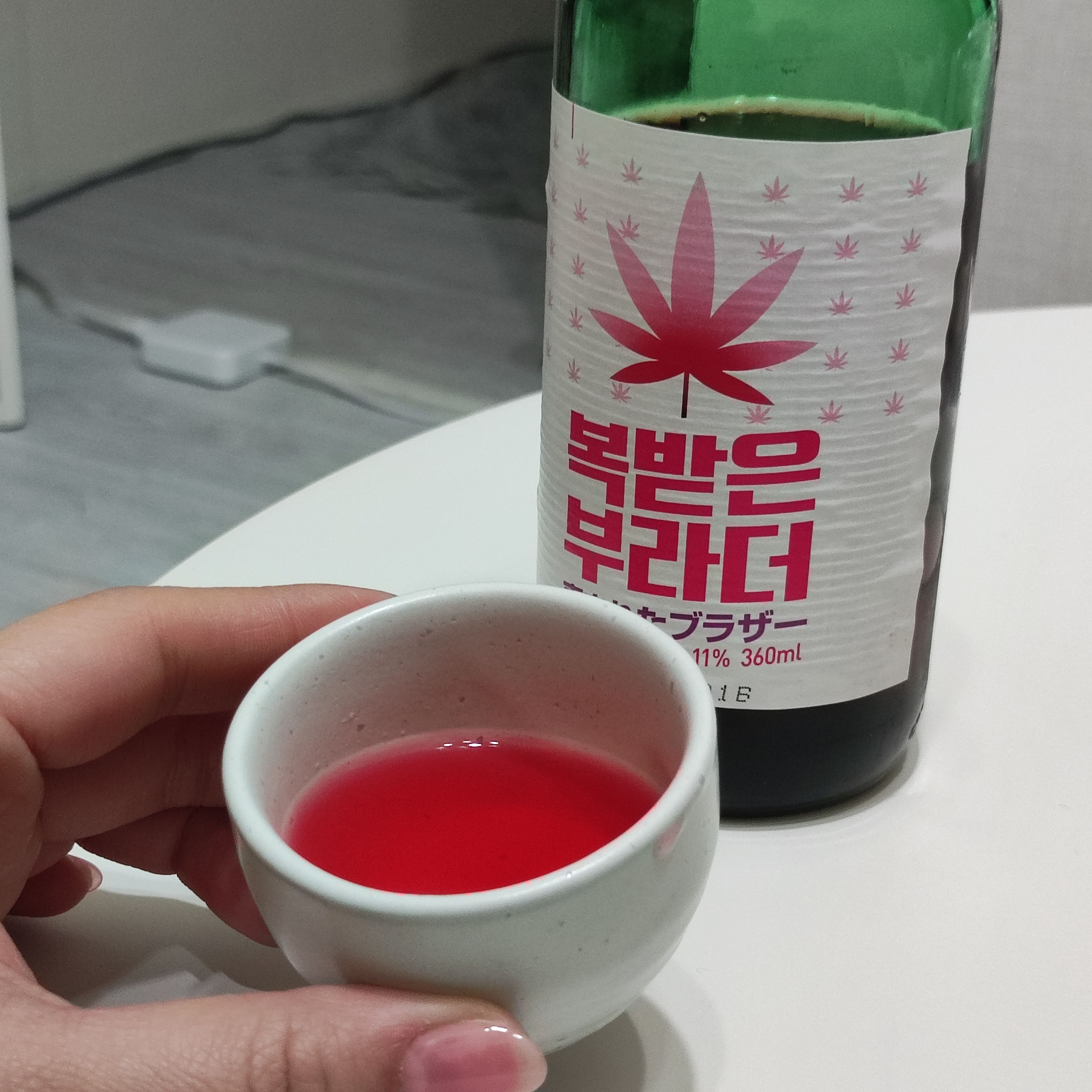  일본생활 22. 03. 07 유급휴가를 사용하면서 즐기는 일본에서의 휴일