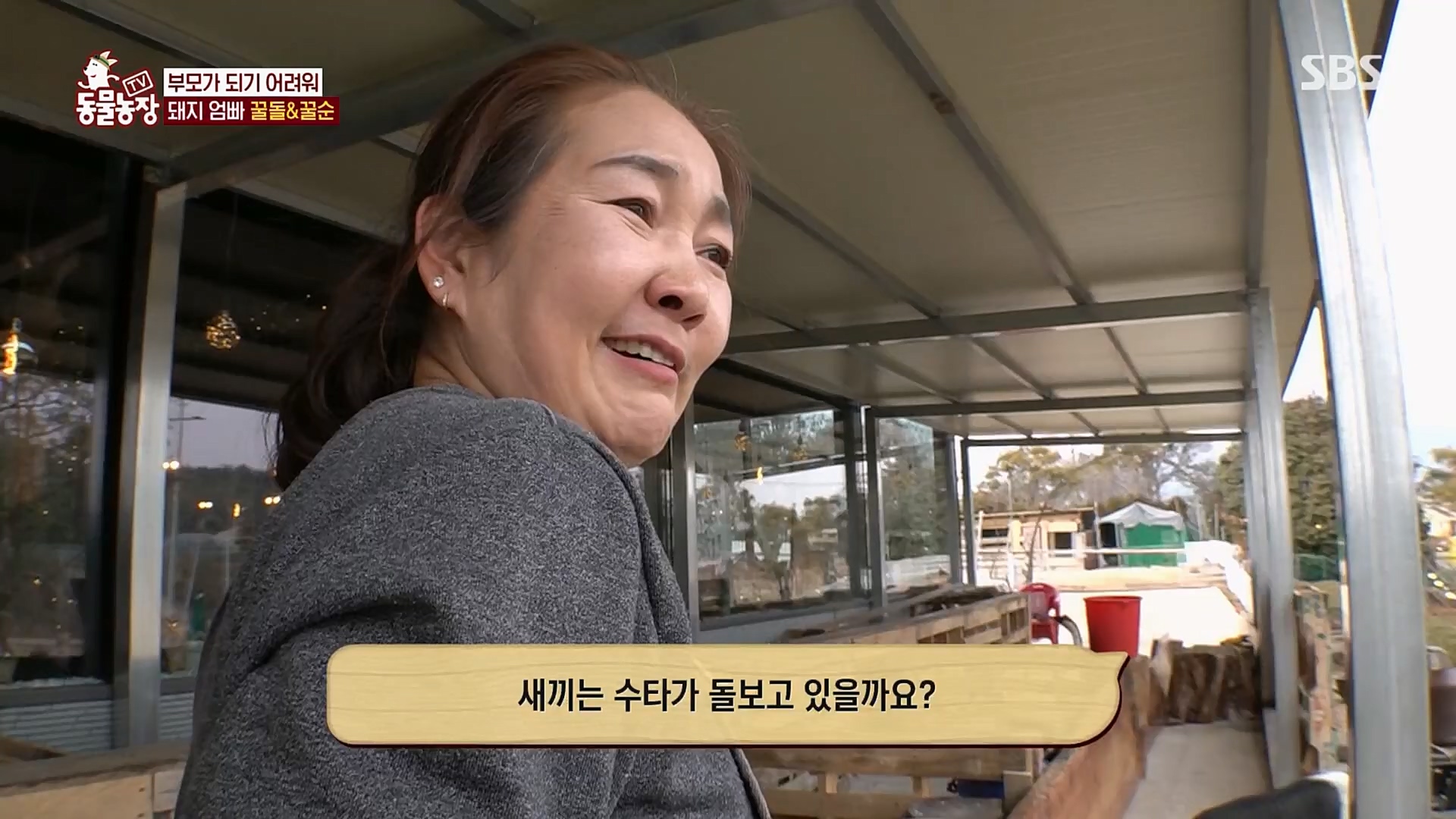 TV 동물농장.E1110.230305p.H264-F1RST.mp4_20230305_183153.089.jpg