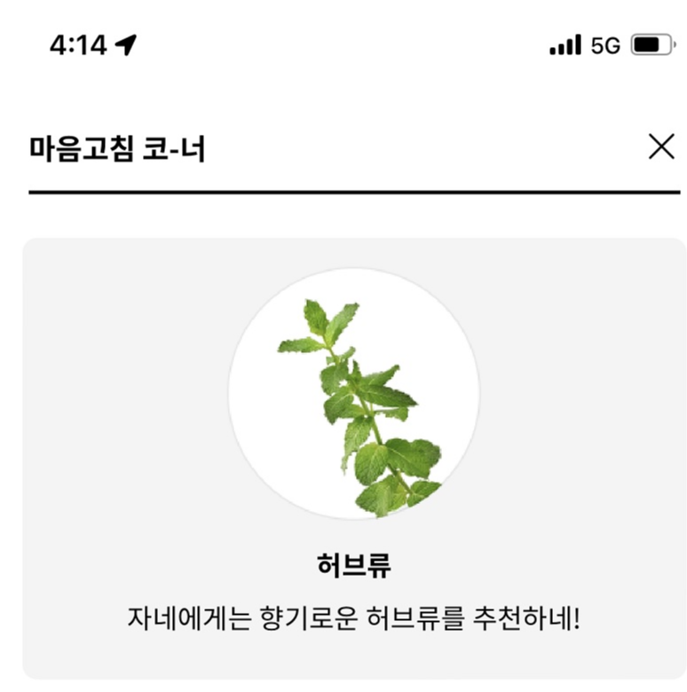 허브류