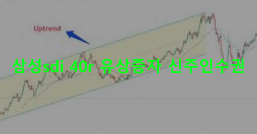 삼성sdi 40r 유상증자 신주인수권