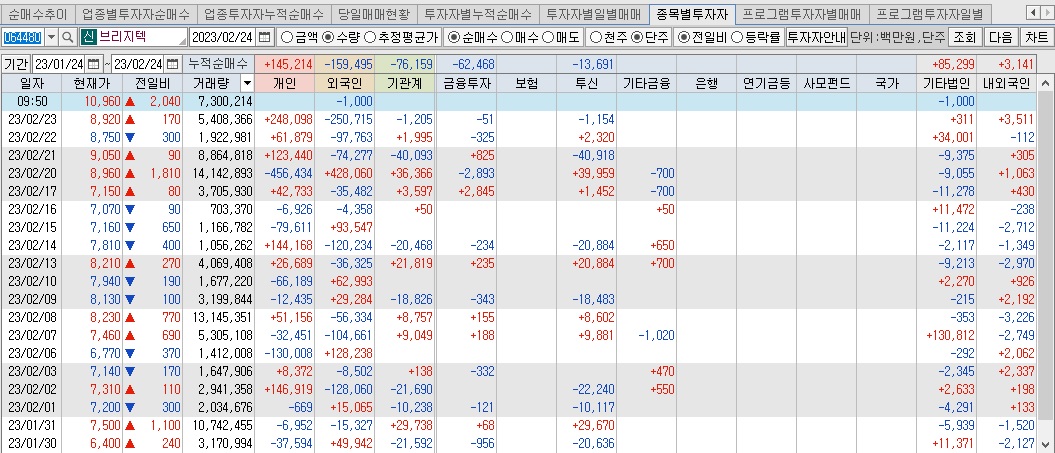 브리지텍 주가 전망