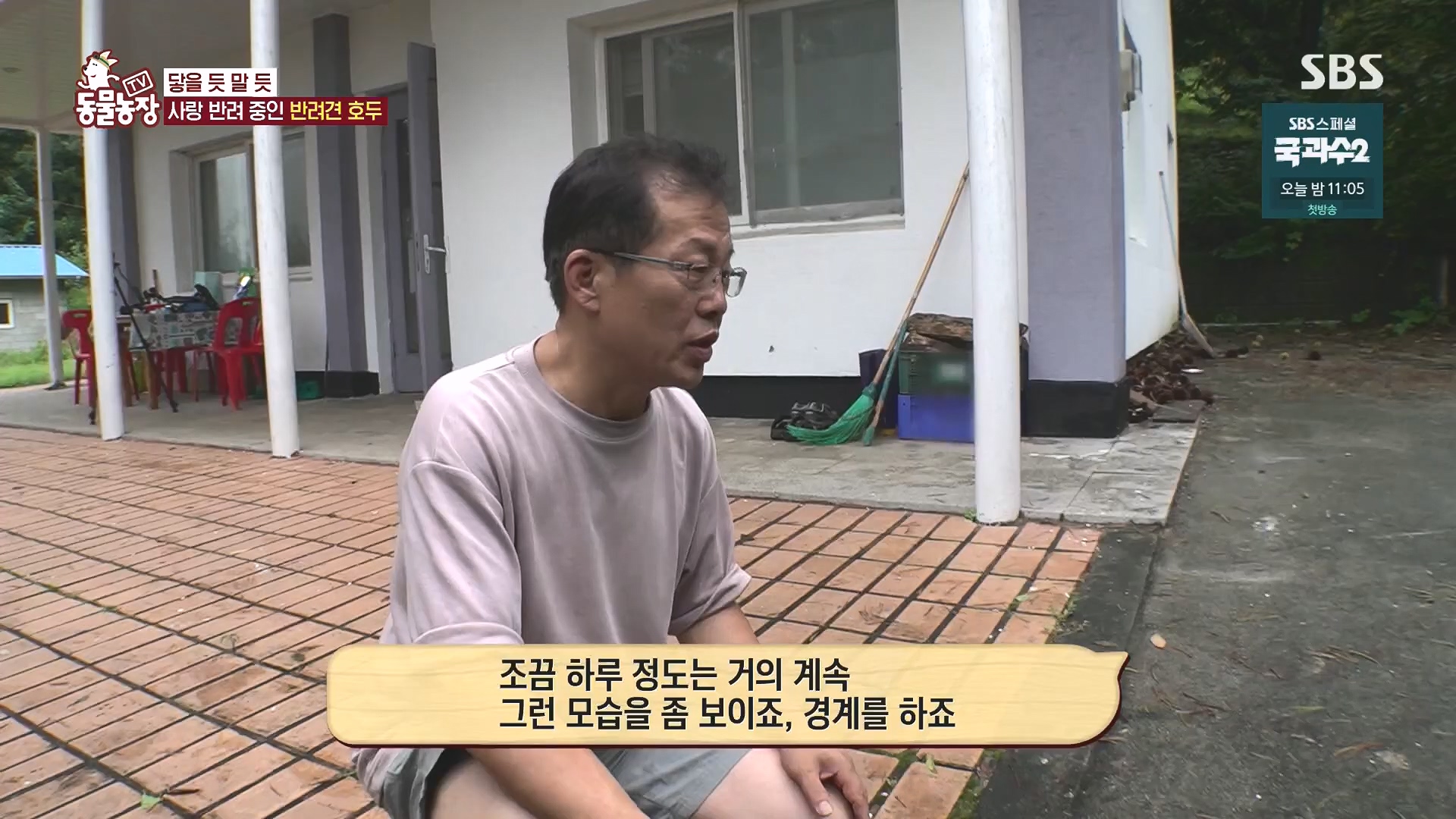 TV 동물농장.E1136.230903p.H264-F1RST.mp4_20230903_180346.530.jpg