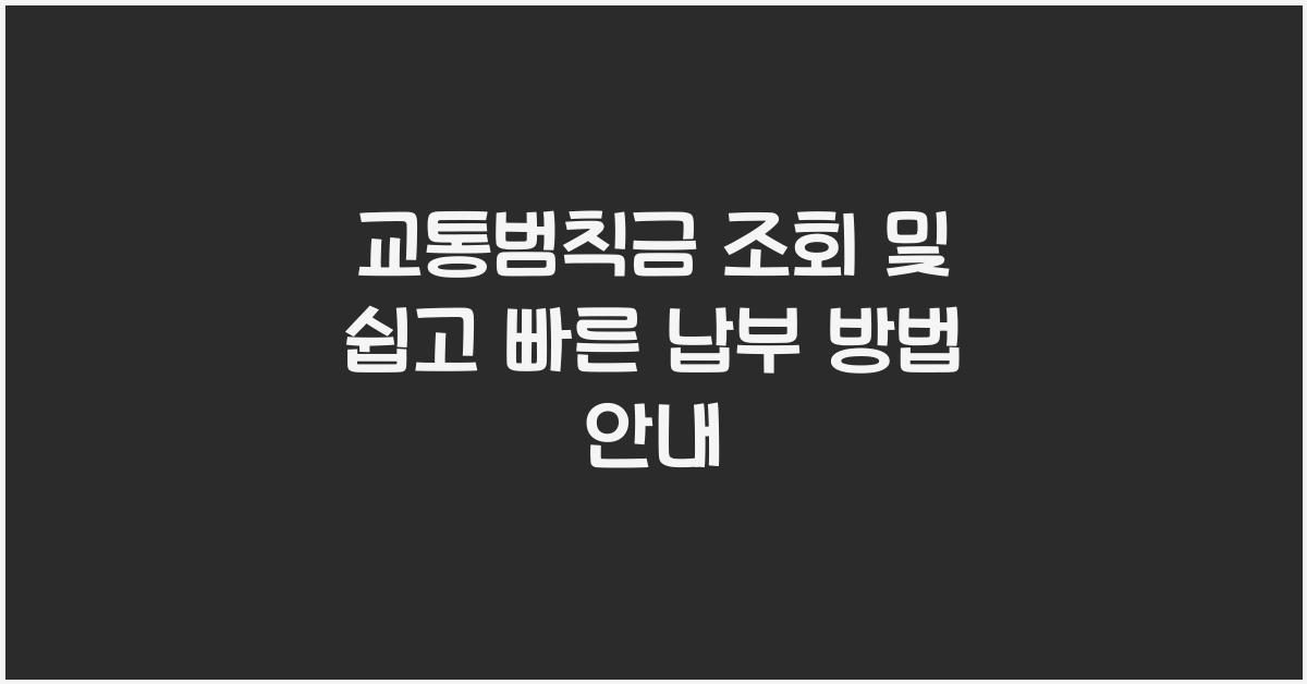 교통범칙금 조회