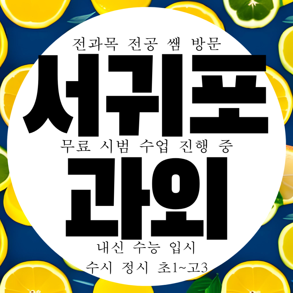  신서귀포 중등 고등 과외 개인 맞춤형 학습을 위한 최적의 선택