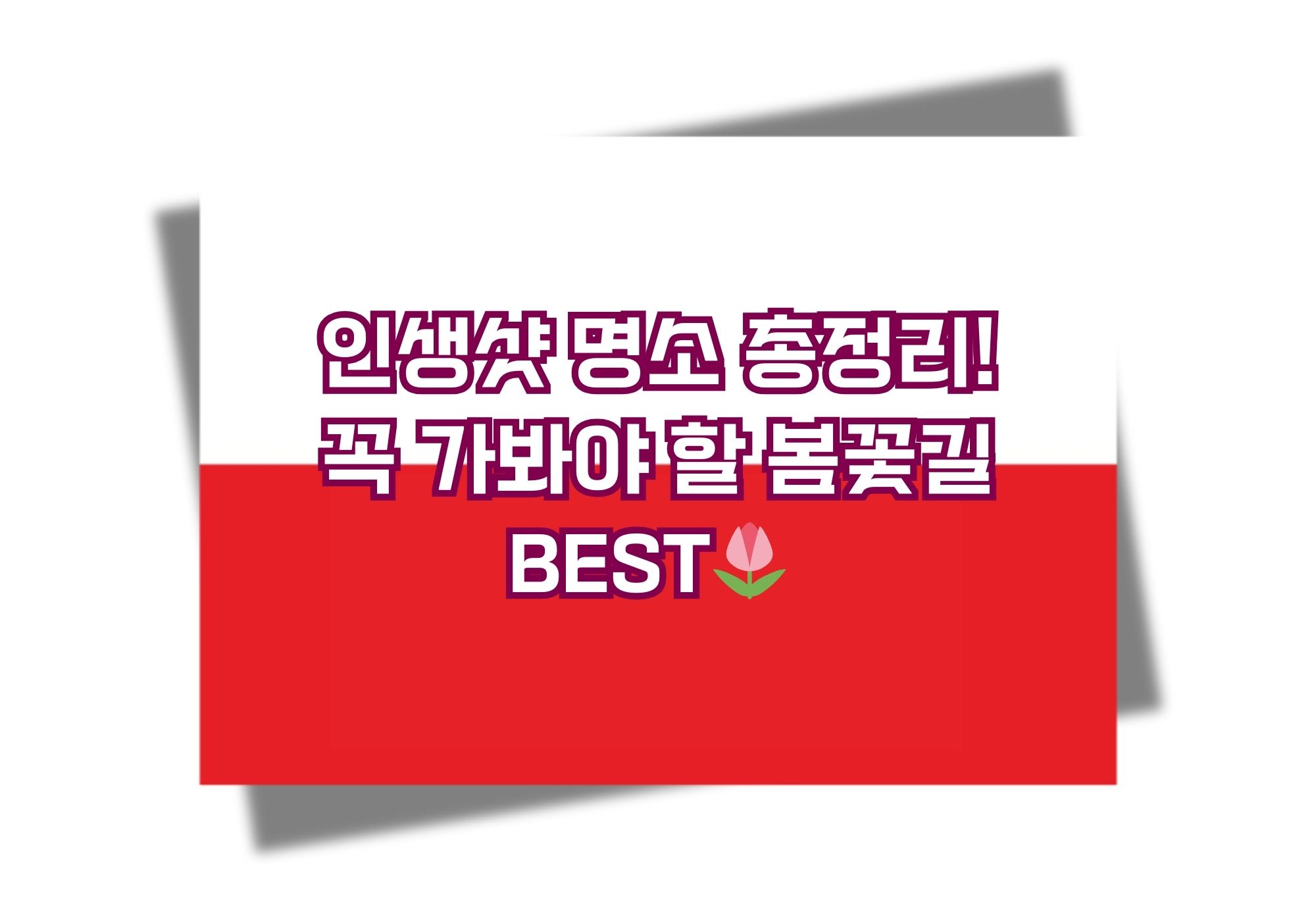 봄꽃길 175선 🌸 벚꽃부터 유채꽃까지, 최고의 꽃길 추천!