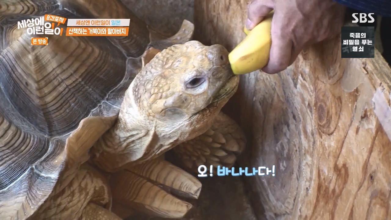순간포착 세상에 이런일이.E1243.230827p-NEXT.mp4_20230827_173839.014.jpg
