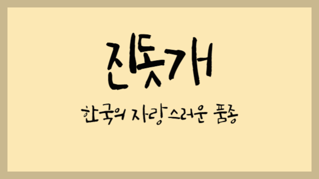  진돗개 : 한국의 자랑스러운 품종