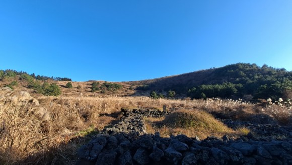 정물 당오름, 오름 그리고 금악오름 10