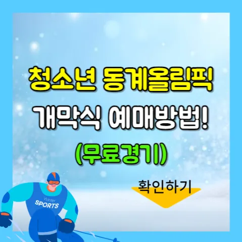 평창 청소년 동계올림픽 개막식