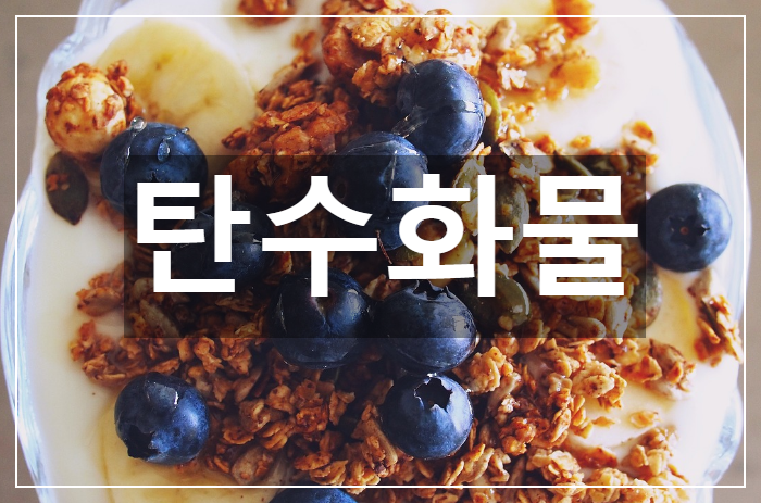  에너지를 공급해주는 가장 기본적인 영양소 탄수화물