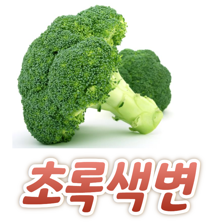 아이 초록색 변 원인과 해결방법