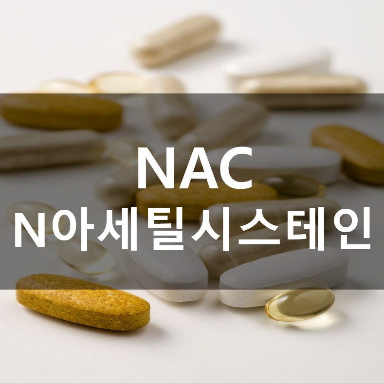 NAC 아세틸시스테인 N-아세틸 L-시스테인