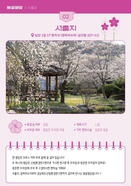 벚꽃-명당-서출지