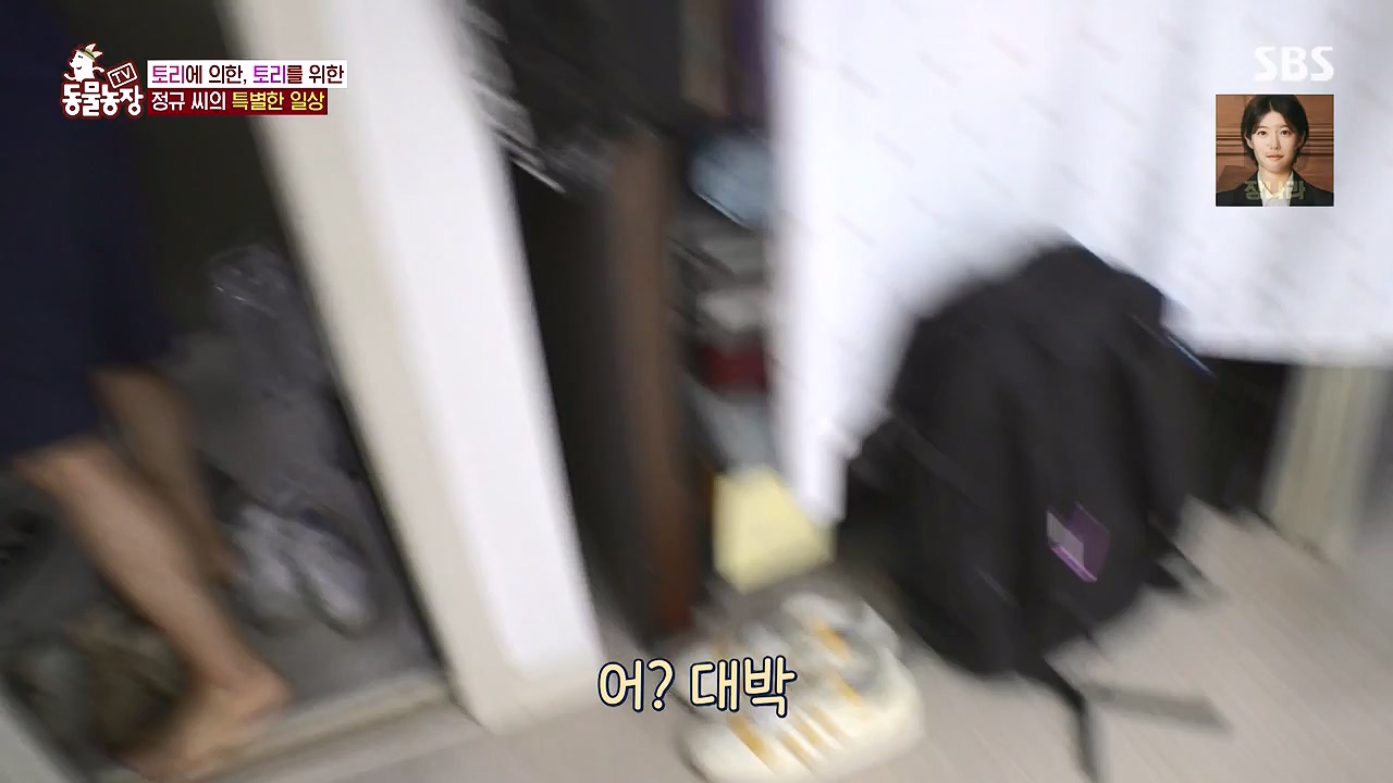 TV 동물농장.E1179.240708p-NEXT.mp4_20240707_160433.396.jpg