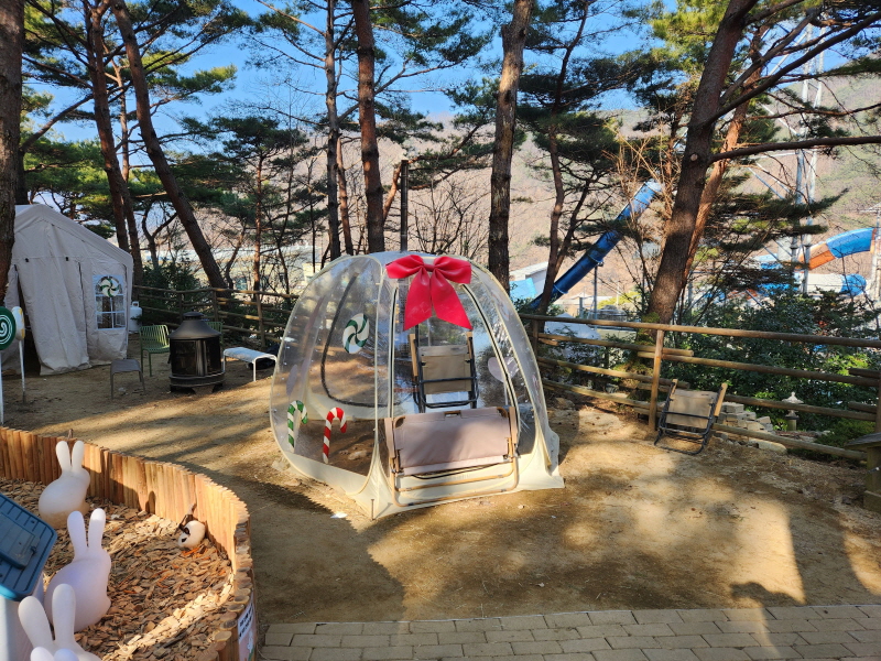 대구 네이처파크