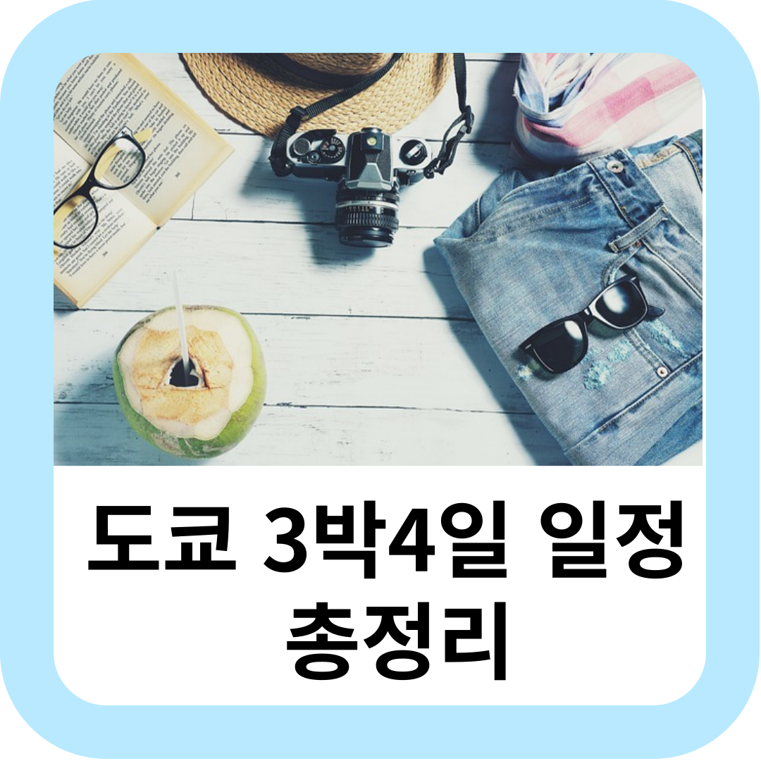  도쿄 3박4일 일정 '둘째날' 도쿄에서만 6년!! 아사쿠사,츠키치씨조,쓰시잔마이