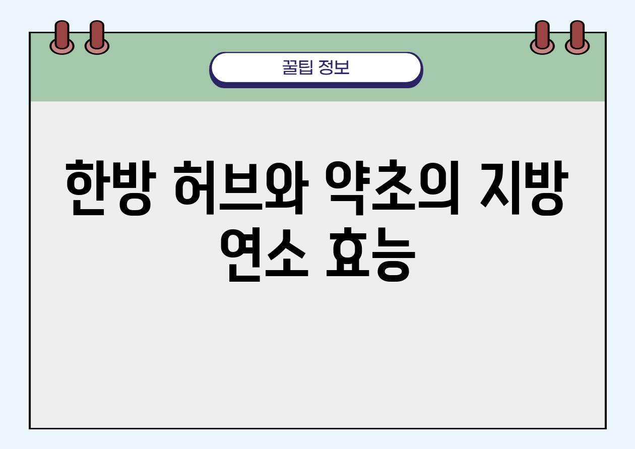 한방 허브와 약초의 지방 연소 효능