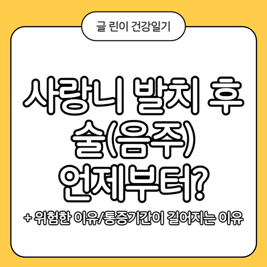 사랑니 발치 후 술
