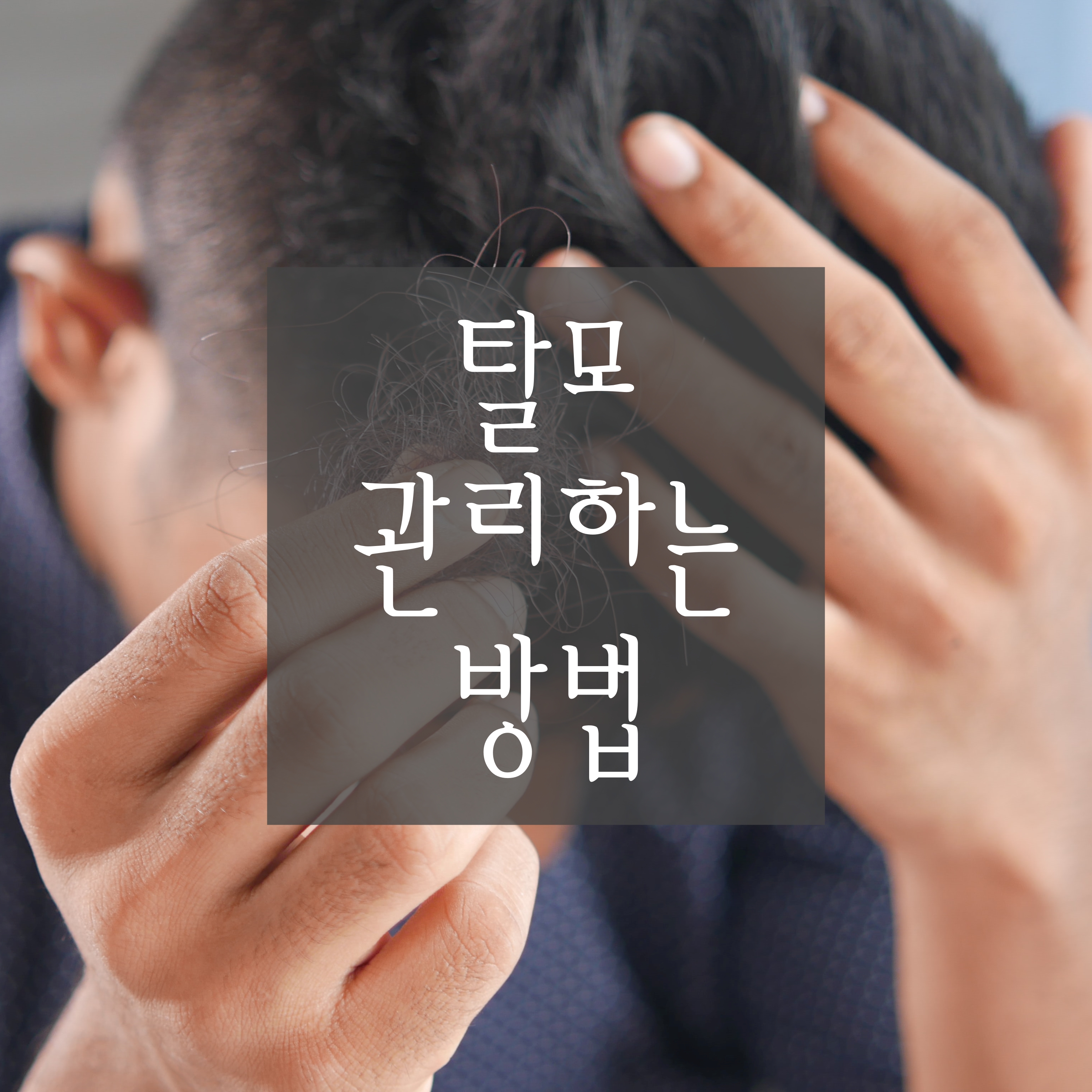  [탈모 관리하는 방법] 탈모 예방하는 방법, 탈모 특징, 탈모에 좋은 음식에 대해 알아봅니다.