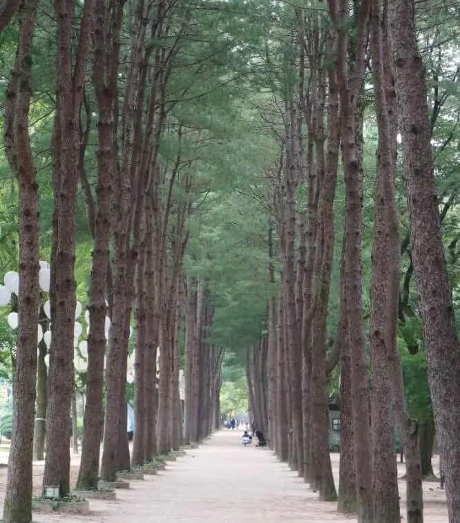 남이섬