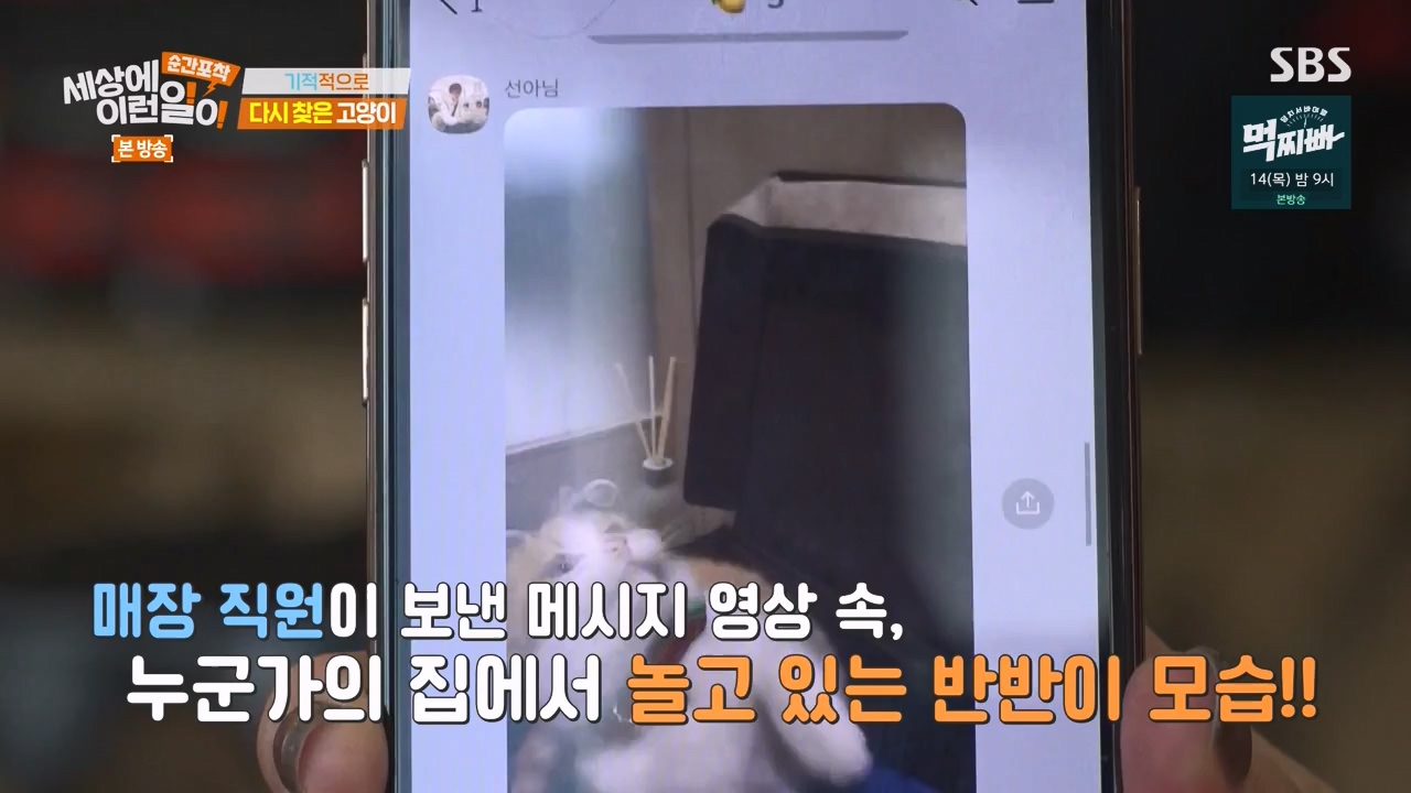 순간포착 세상에 이런일이.E1268.240310p-NEXT.mp4_20240310_132545.084.jpg