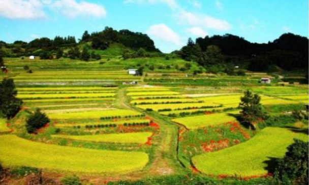  농지전용허가 절차,농지전용부담금 계산법/감면 면제대상