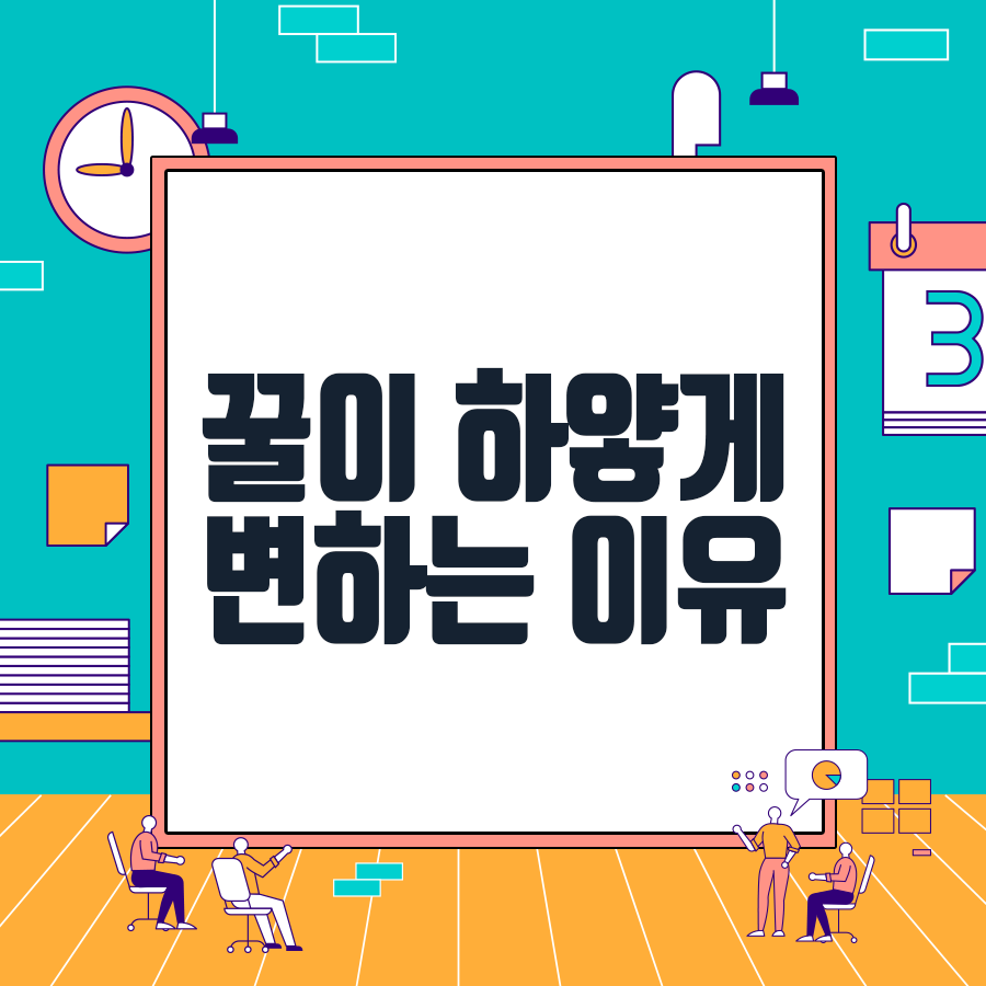 종류도 다양한 꿀! 꿀 효능 9