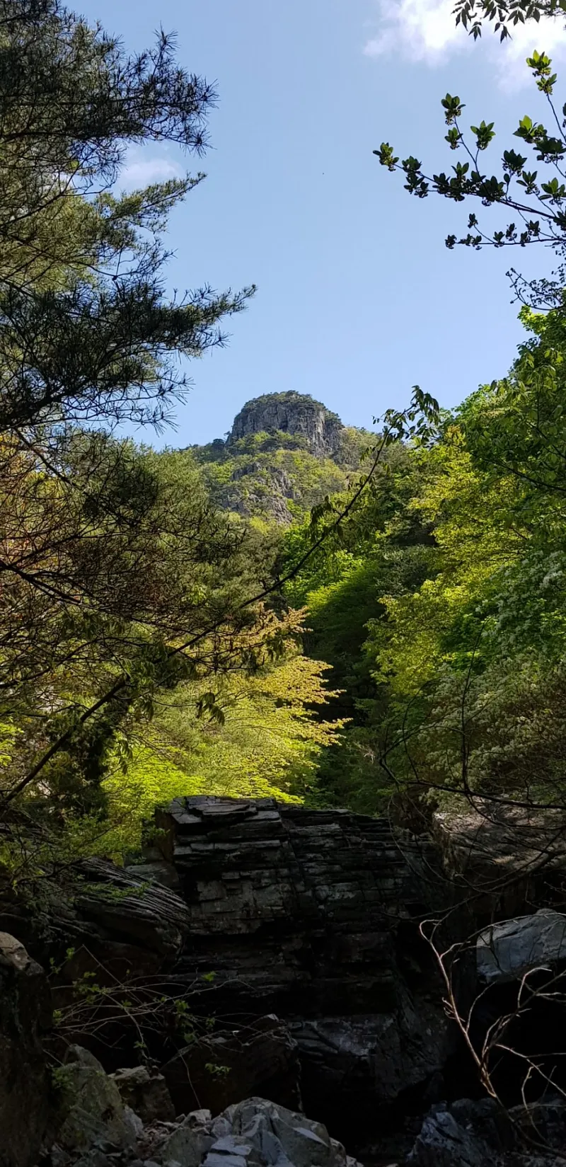 밀양 구만산