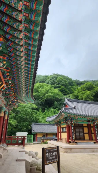 자연 속 템플스테이 베스트 10 (내소사 백담사 숨겨진 명사찰)_10