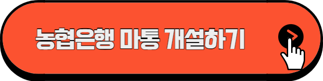 마이너스통장 개설 방법(카카오뱅크&middot;토스&middot;농협축협)