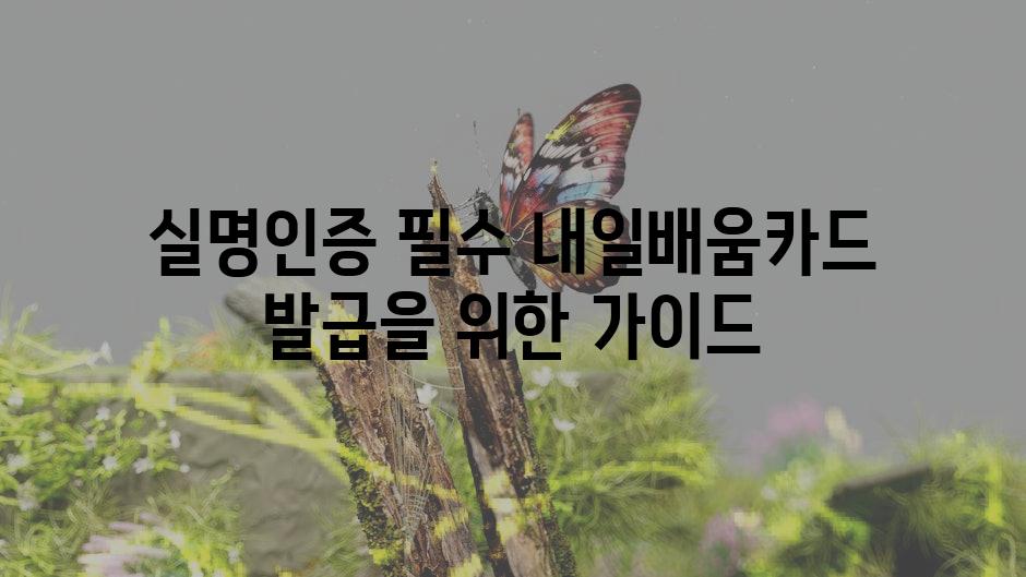 실명인증 필수 내일배움카드 발급을 위한 가이드